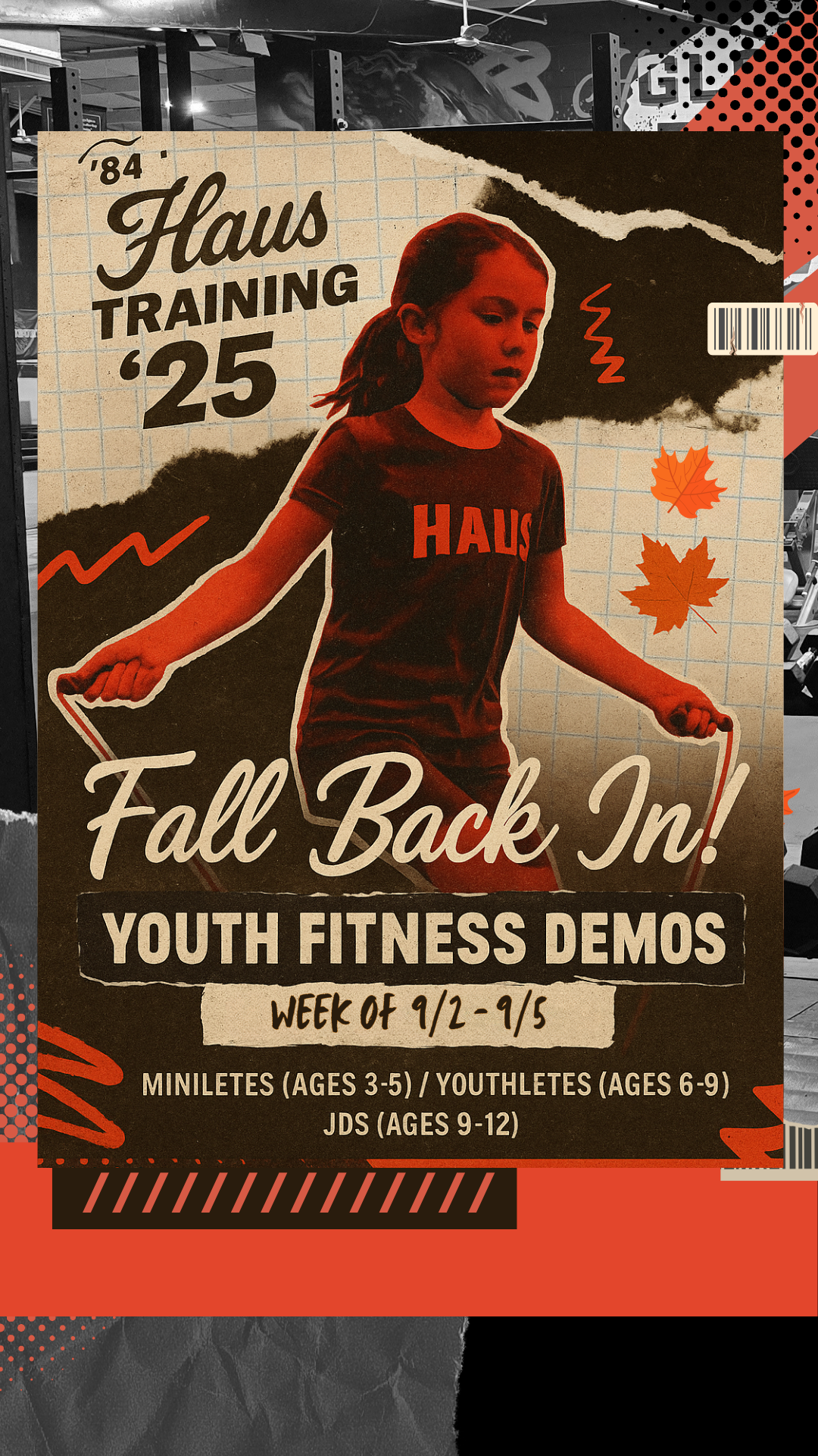 DEMOS (2)